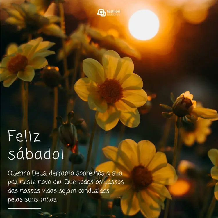 Foto de flores amarelas e frases "Feliz Sábado… Querido Deus, derrama sobre nós a sua paz neste novo dia. Que todos os passos das nossas vidas sejam conduzidos pelas suas mãos."