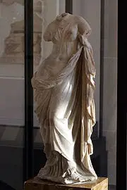 180px-turtle_aphrodite_ao20126_mp3h9188