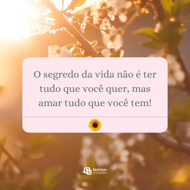 Frase sobre o segredo da vida