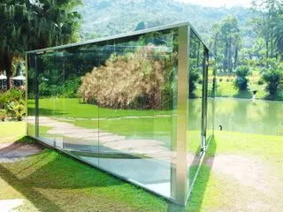 Inhotim   A experiência do belo onde arte e natureza se unem