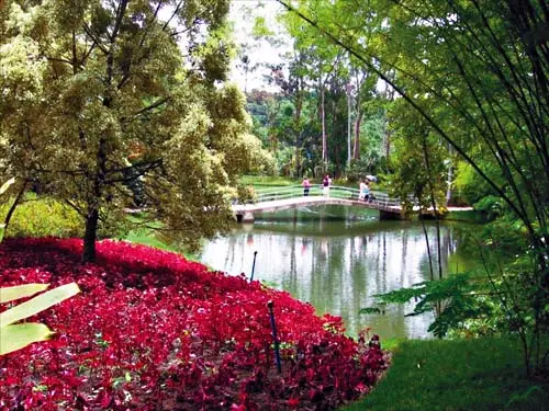Inhotim   A experiência do belo onde arte e natureza se unem