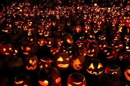 pumpkin