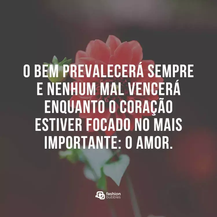 Frase sobre o amor