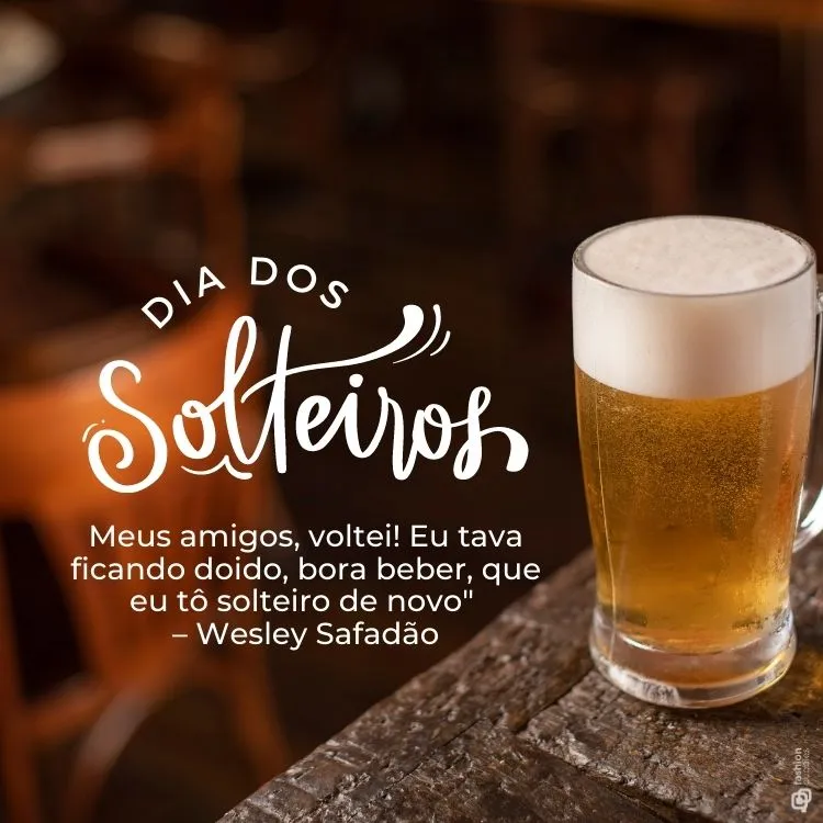 Meus amigos, voltei! Eu tava ficando doido, bora beber, que eu tô solteiro de novo" – Wesley Safadão