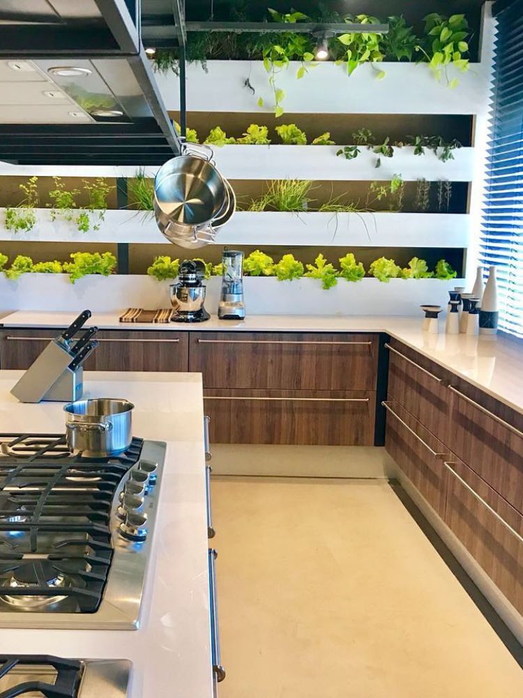 Cozinha em madeira com parede de horta