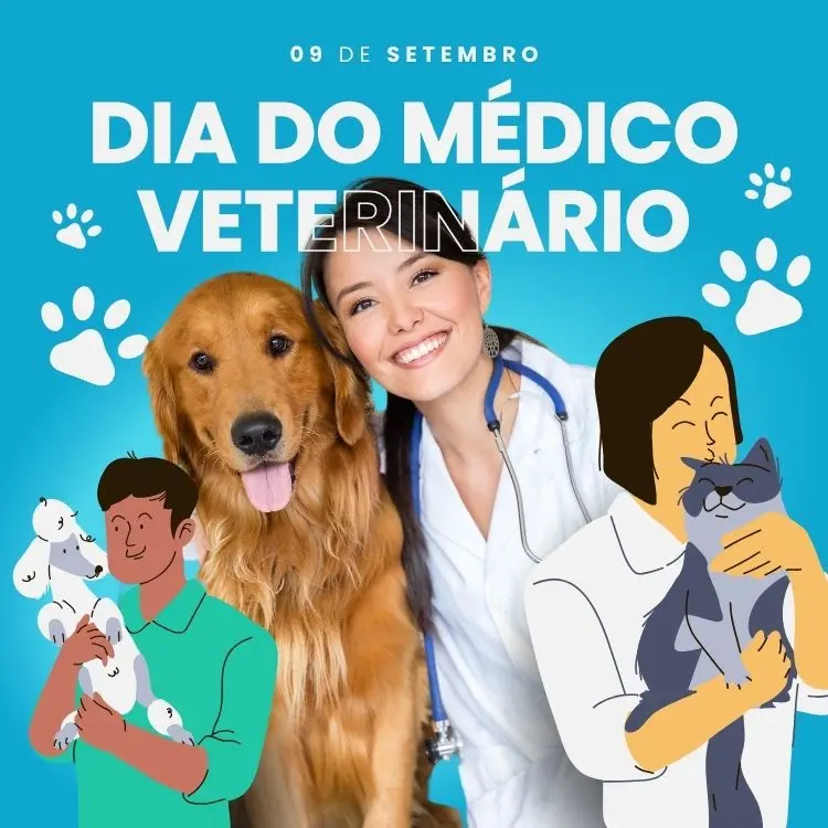 Card de fundo azul com foto de veterinária com Golden e desenhos de veterinários