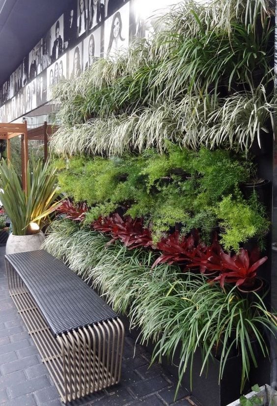 Faixa com plantas diferentes