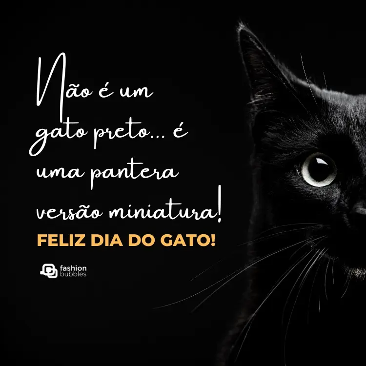 Foto de gato preto em fundo preto e frase: Não é um gato preto… é uma pantera versão miniatura! Feliz Dia do Gato!