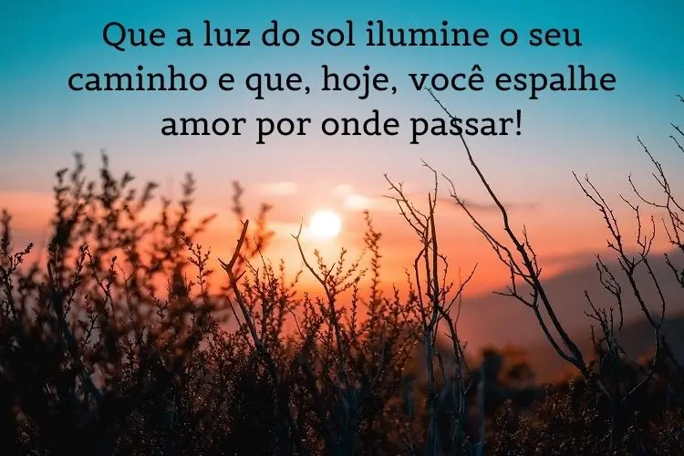 Foto de jardim e nascer do sol e frase: Que a luz do sol ilumine o seu caminho e que, hoje, você espalhe amor por onde passar!