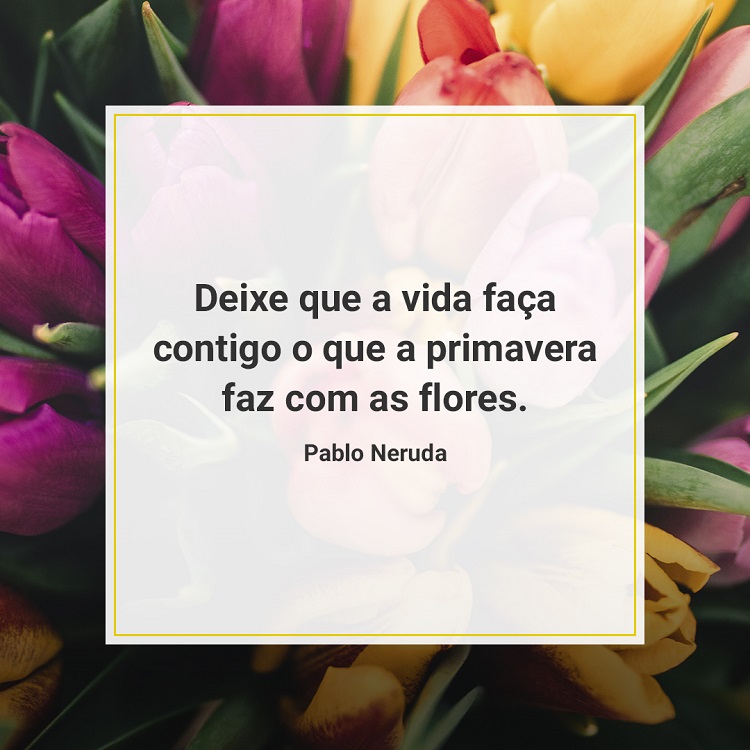 frases de primavera pensador em foto de buquê de flores