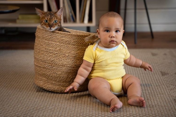 Gato marrom dentro de cesto de palha ao lado de bebê de pele morena usando body amarelo