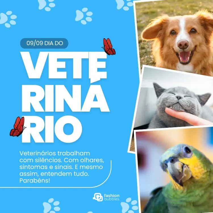 Card de fundo azul com foto de cachorro, gato e passarinho, além de frase: Veterinários trabalham com silêncios. Com olhares, sintomas e sinais. E mesmo assim, entendem tudo. Parabéns!
