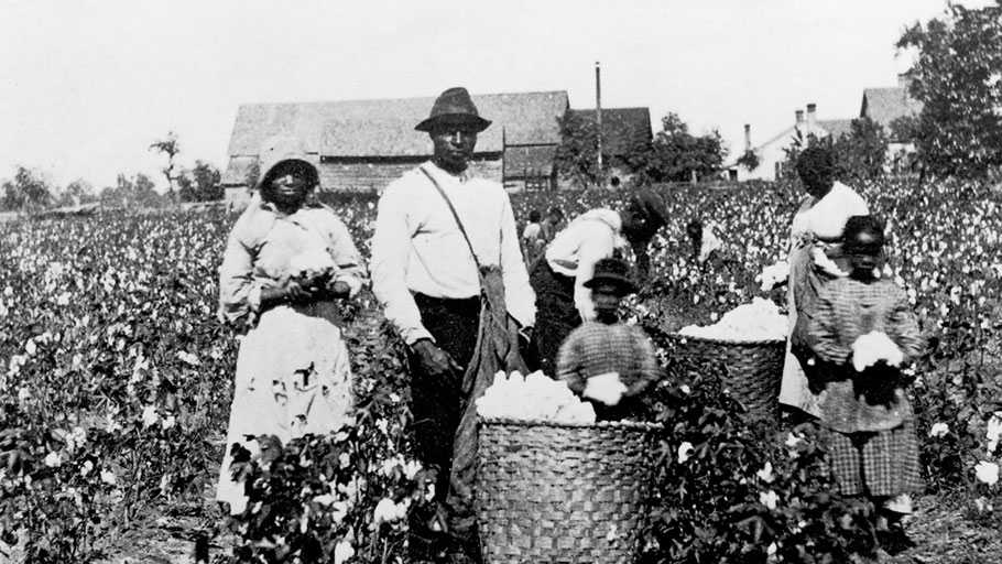 Trabalhadores de uma fazenda de algodão nos EUA.