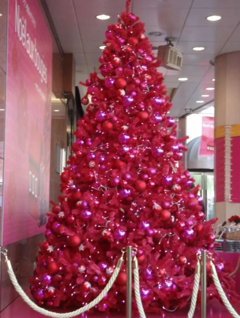 arvore rosa no meio do shopping