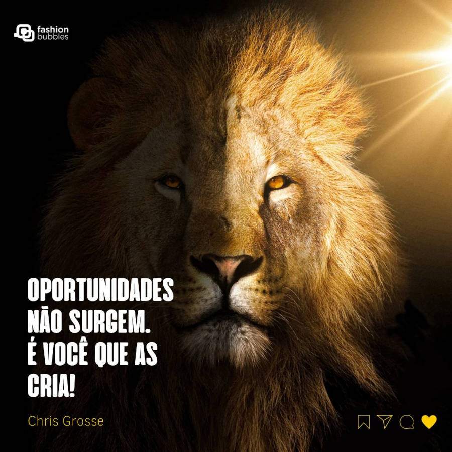 Frase tumblr de empreendedorismo: “Oportunidades não surgem. É você que as cria.” Chris Grosser