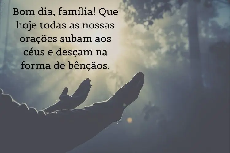 Foto de pessoa erguendo o braço em flores no pôr do sol e frase: Bom dia, família! Que hoje todas as nossas orações subam aos céus e desçam na forma de bênçãos.