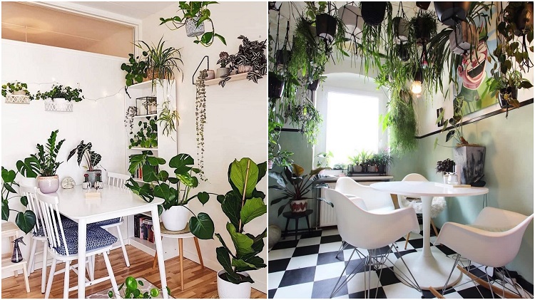 Montagem com duas fotos de salas de jantar decoradas com selva urbana, ambas com mesas e cadeiras em branco