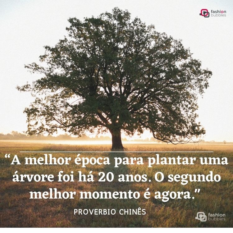 frase pensativa com árvore de fundo