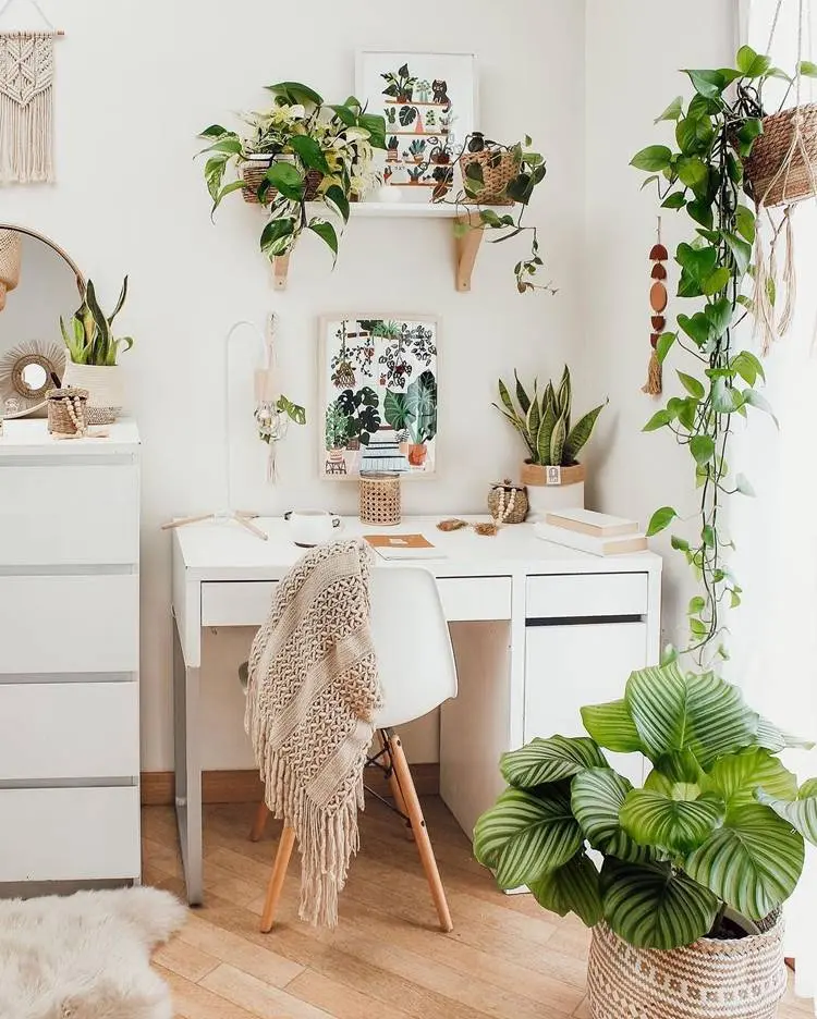 Escritório com diversas plantas decorando, e no canto, no chão, uma calathea tipo 