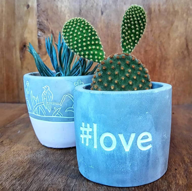 Dois vasos azuis, um com desenhos  de pássaros e outro escrito "#LOVE" com cactos e suculentas. 