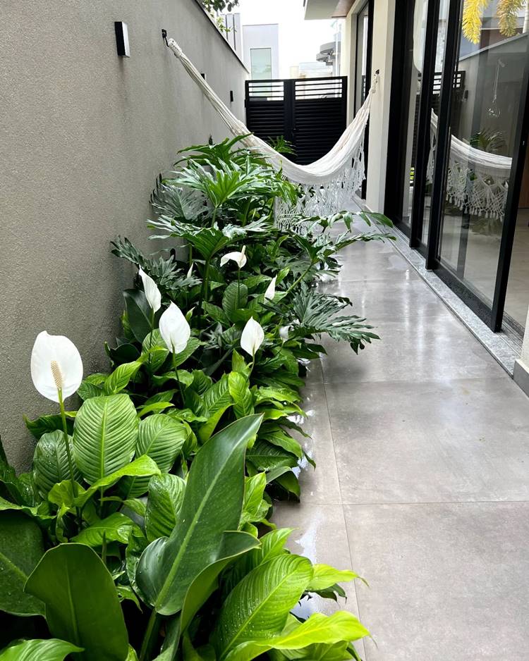 Área externa de casa, com rede e canteiro de plantas, com lírio-da-paz e costela-de-adão