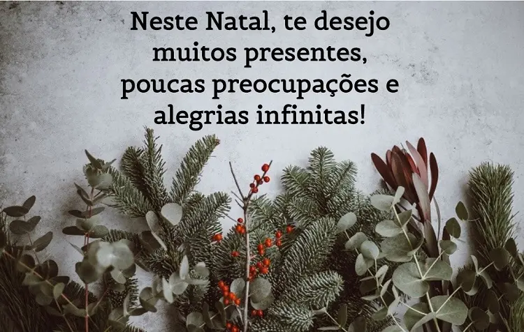 Foto de fundo cinza com plantas e frase "Neste Natal, te desejo muitos presentes, poucas preocupações e alegrias infinitas!"