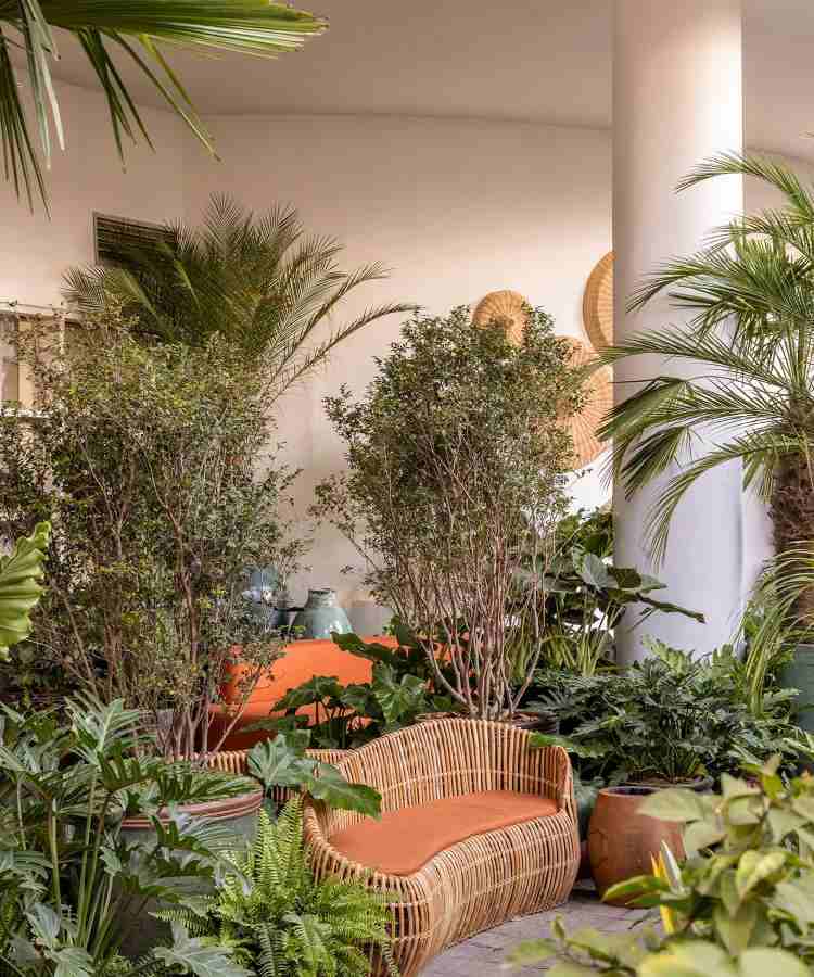 plantas nativas no Paisagismo de Catê Poli e João Jadão no CASACOR 2023