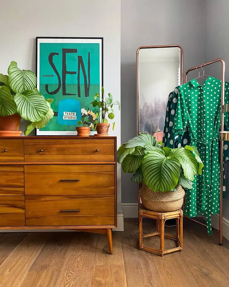 calathea na decoração de um quarto, que tem cômoda, espelho e cabideiro