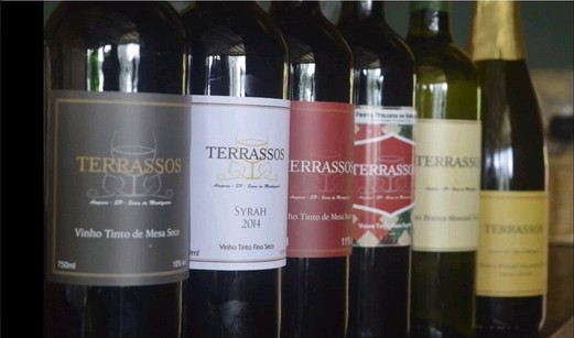 Vinícola Terrassos