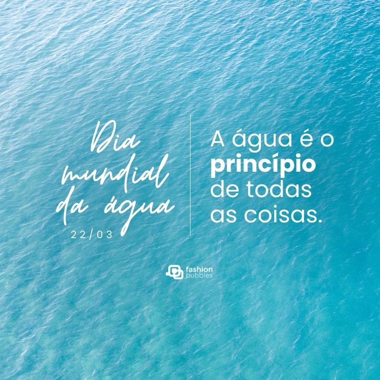 Cartão virtual com foto do mar e frase: A água é o princípio de todas as coisas.