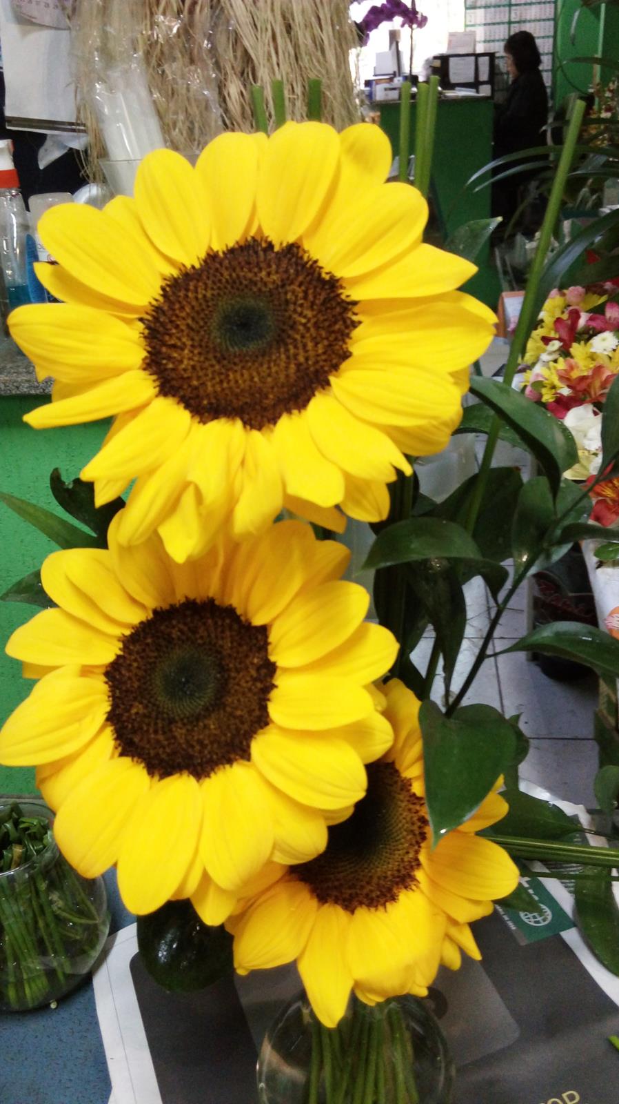 20160519_110805 (Copy)