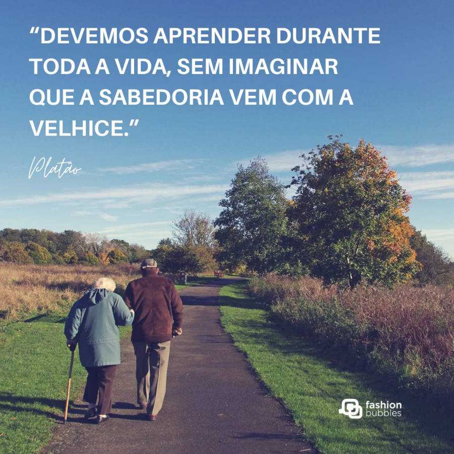 Frase sobre velhice: “Devemos aprender durante toda a vida, sem imaginar que a sabedoria vem com a velhice.”  Platão