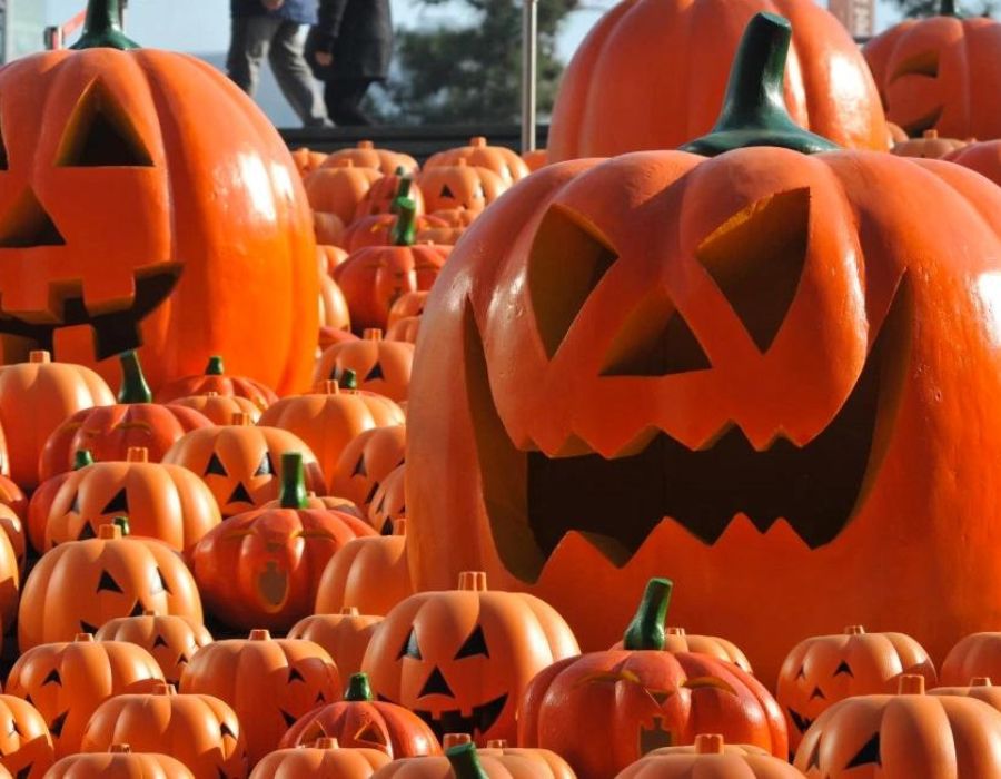 Abóboras de Halloween