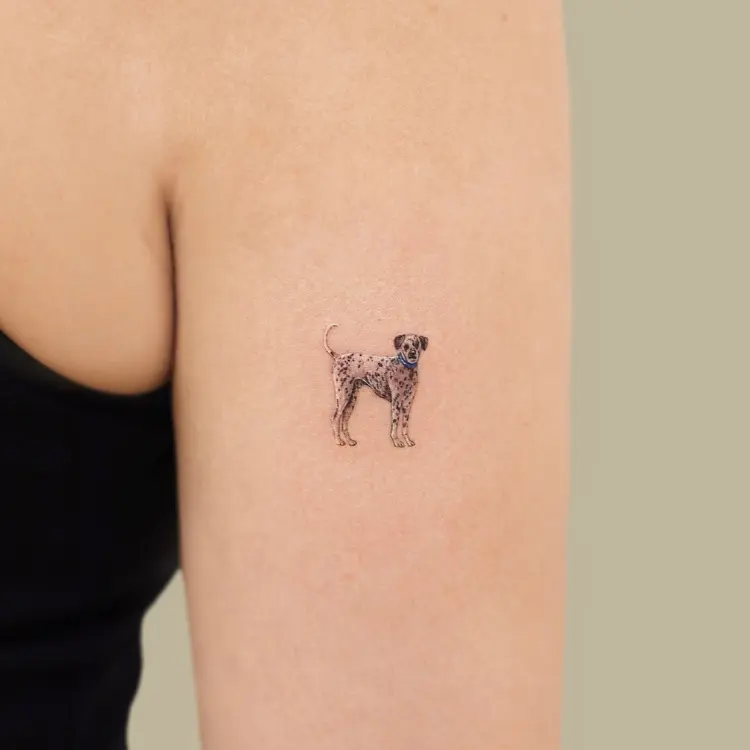 Tatuagem pequena de Dálmata realista em braço 