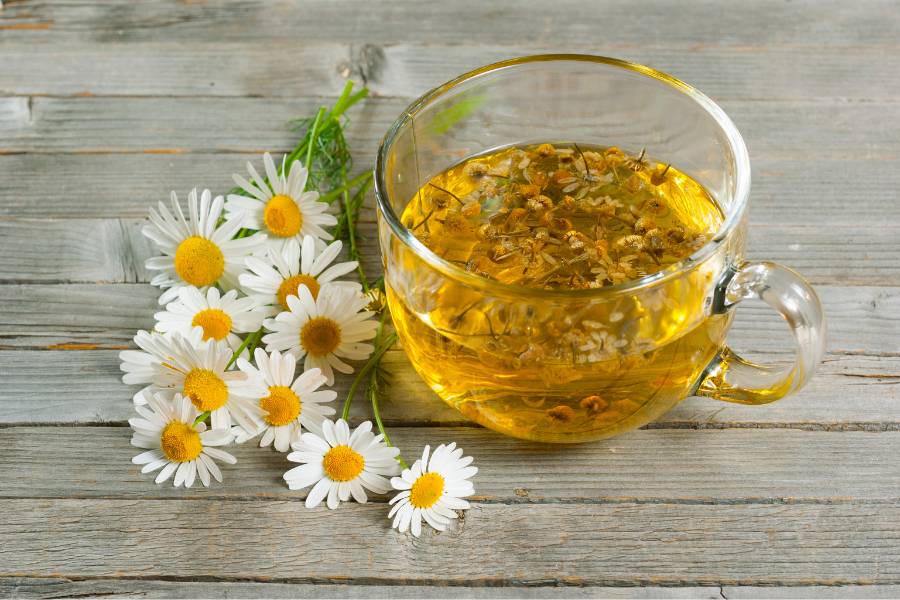 Infusão de camomila.