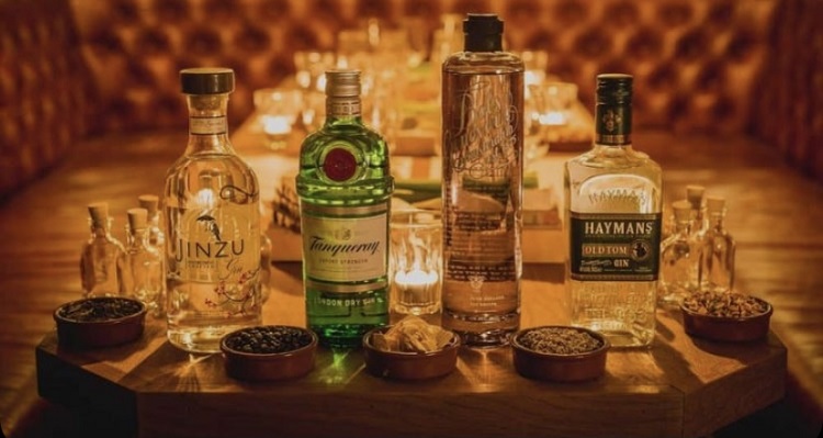 Os dois tipos de Gin são o Dry Gin e o Dutch Gin Os diferentes tipos de gin