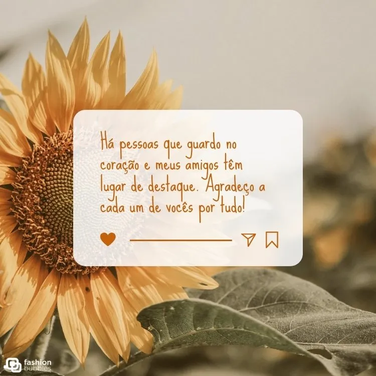 Foto de girassol ao fundo com retângulo branco escrito "Há pessoas que guardo no coração e meus amigos têm lugar de destaque. Agradeço a cada um de vocês por tudo!"
