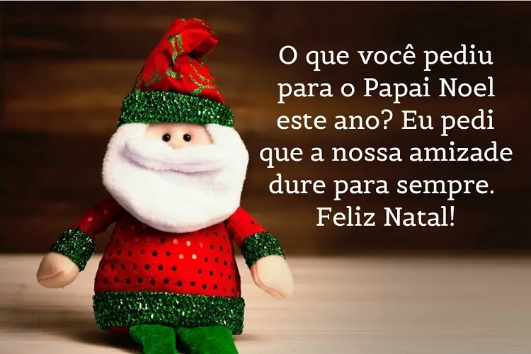 Foto de papai noel de feltro e frase "O que você pediu para o Papai Noel este ano? Eu pedi que a nossa amizade dure para sempre. Feliz Natal!"