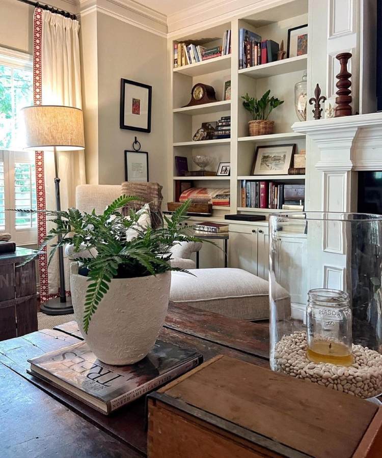 Sala com estante decorada com objetos, livros, planta zamioculca, e em uma mesa de madeira um vaso com samambaia e vela