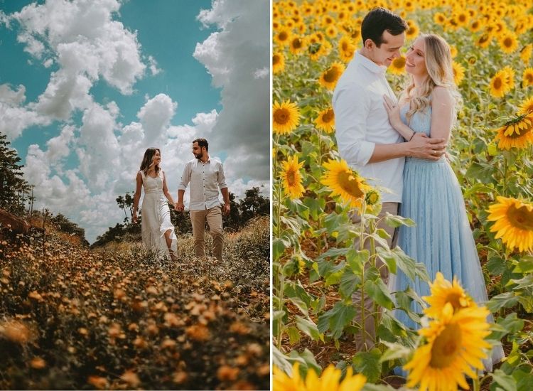 duas fotos de ensaio de casal em campo de flores com vestido simples ensaio de casal com vestido simples