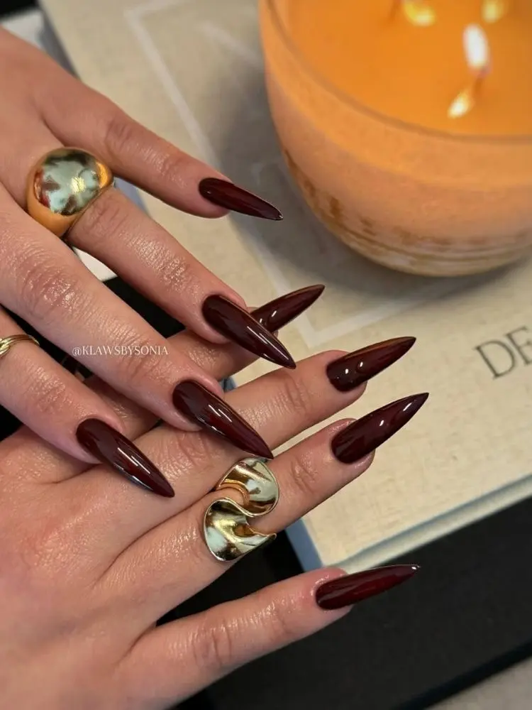 Mãos com unha marrom stiletto e anéis 