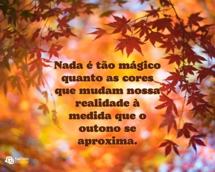 Card com fundo de folhas alaranjadas nas árvores e frase "Nada é tão mágico quanto as cores que mudam nossa realidade à medida que o outono se aproxima."