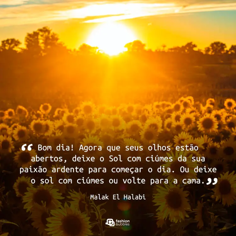 Foto de plantação de girassois e frase "Bom dia! “Agora que seus olhos estão abertos, deixe o Sol com ciúmes da sua paixão ardente para começar o dia. Ou deixe o sol com ciúmes ou volte para a cama.” (Malak El Halabi)