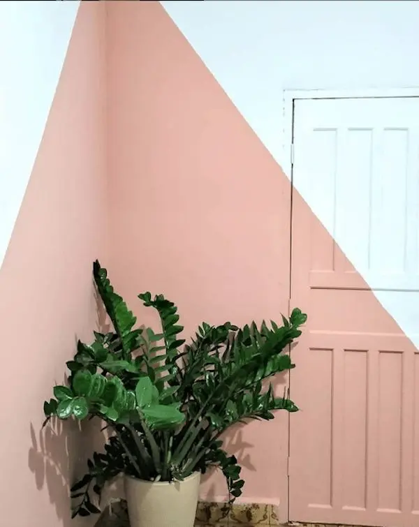 Parede branca e rosa