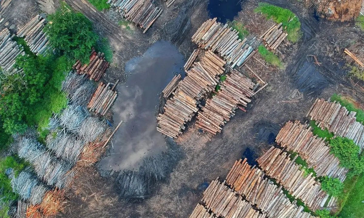 Imagem da floresta amazônica desmatada.