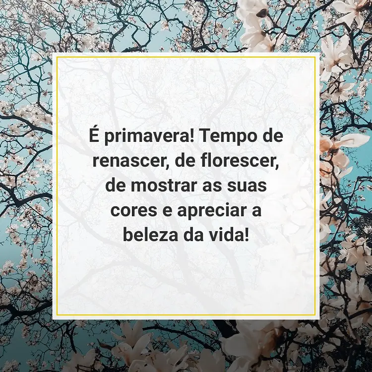 frase de primavera escrita em fundo florido