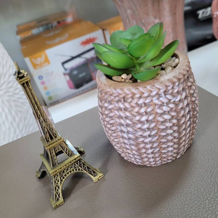 Suculenta em pequeno vaso rosa ao lado de Torre Eiffel decorativa