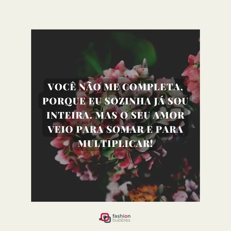 Foto de flores rosas com frase "Você não me completa, porque eu sozinho(a) já sou inteiro(a). Mas o seu amor veio para somar e para multiplicar!"
