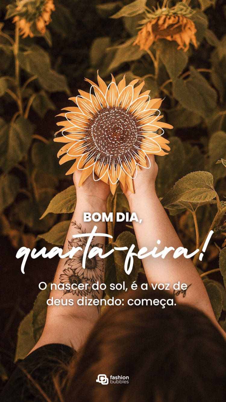 O nascer do sol, é a voz de deus dizendo: começa. Bom dia quarta-feira! bom dia quarta-feira com sol
