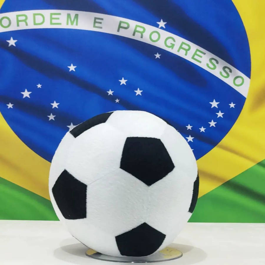Bola de pelúcia.